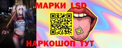 индика Можайск