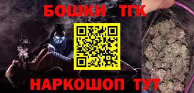 индика Можайск