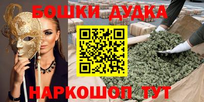 индика Можайск