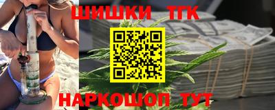 индика Можайск